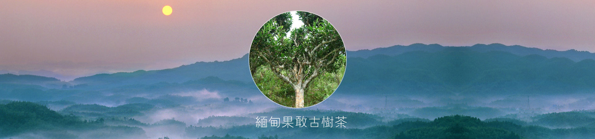 山東中礦重工絞車(chē)有限公司